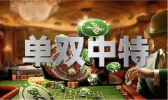 免费正版材料V5419(2023已更新)--IT时代网